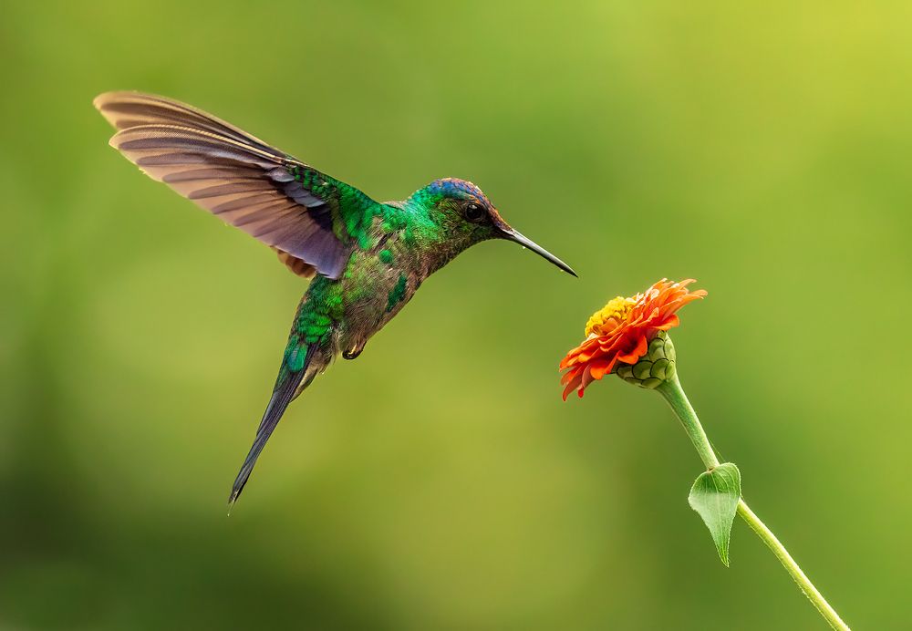 Photograph by Valdir Hobus