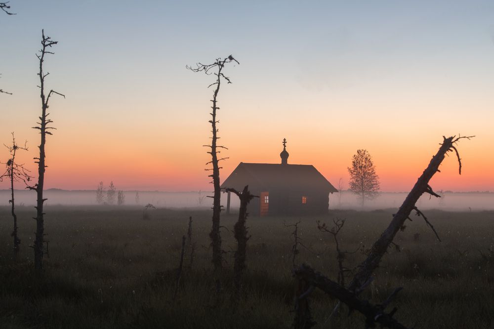 Photograph by Третьякова Анастасия