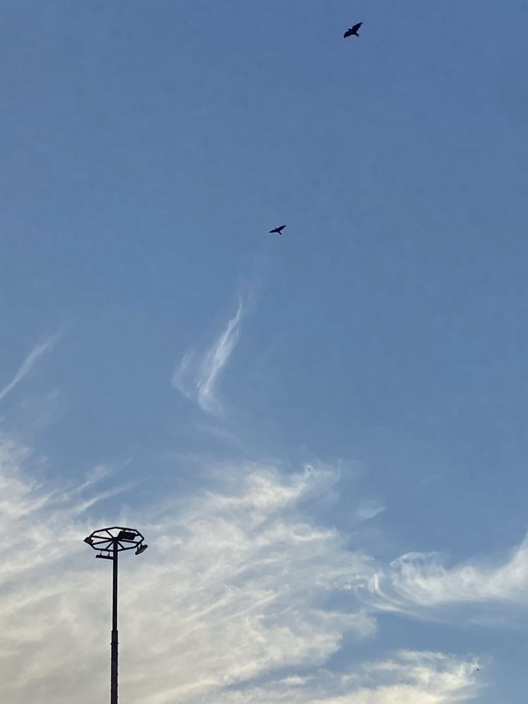 Фотография автора Meline Mikoyan