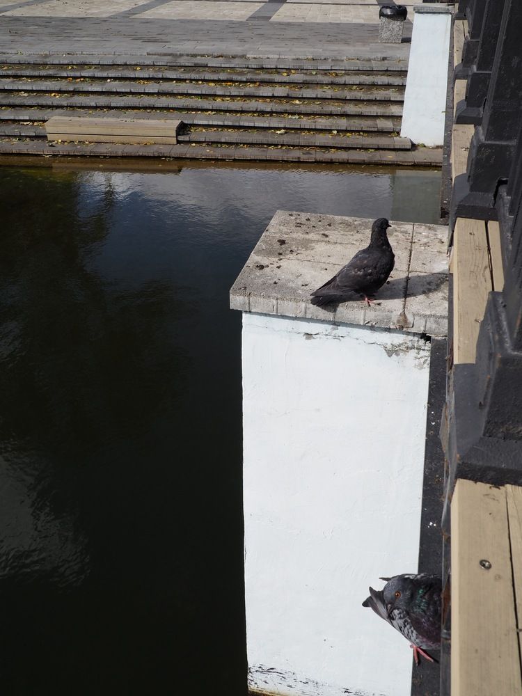 Фотография автора Meline Mikoyan