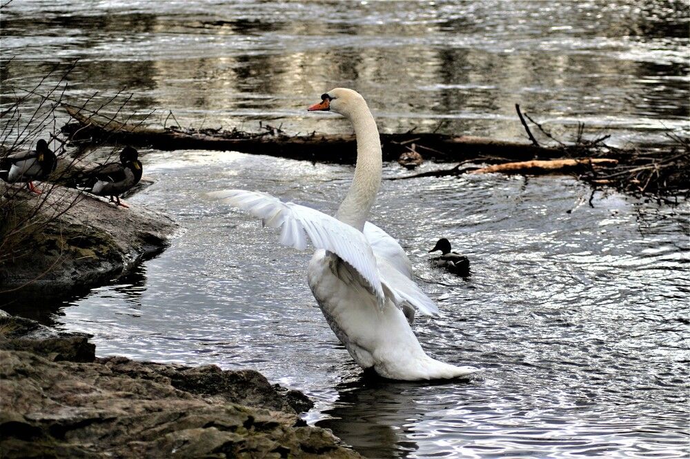 Photograph by Zdeňka Hudcová