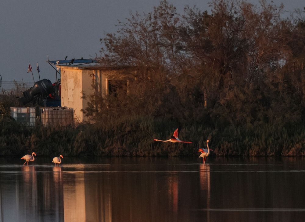 Photograph by Валентина Лопаткина