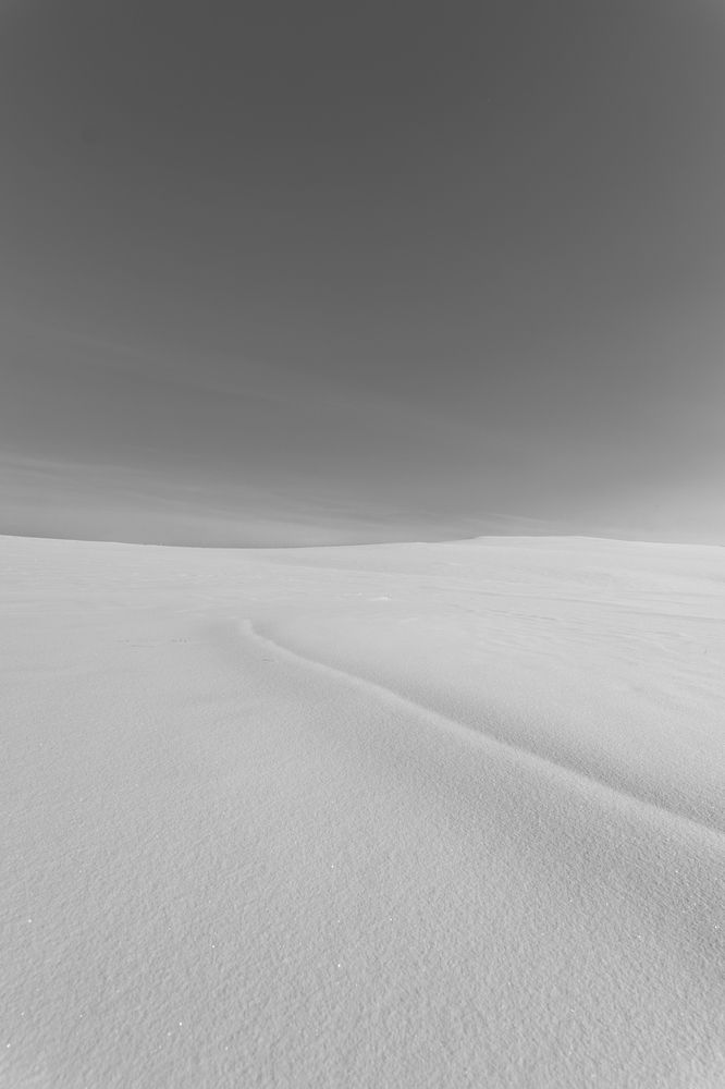 Photograph by Chen Chen