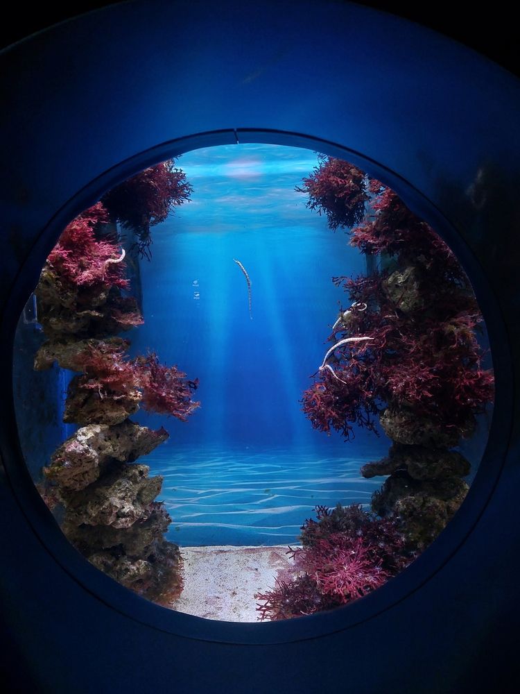 Photograph by Юлия Гусарова