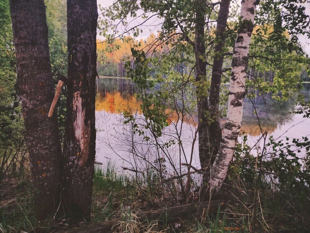 Photograph by Людмила Ваганова