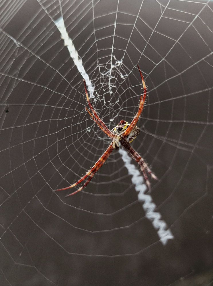 Photograph by  Oscar Simon Wiryahanjaya