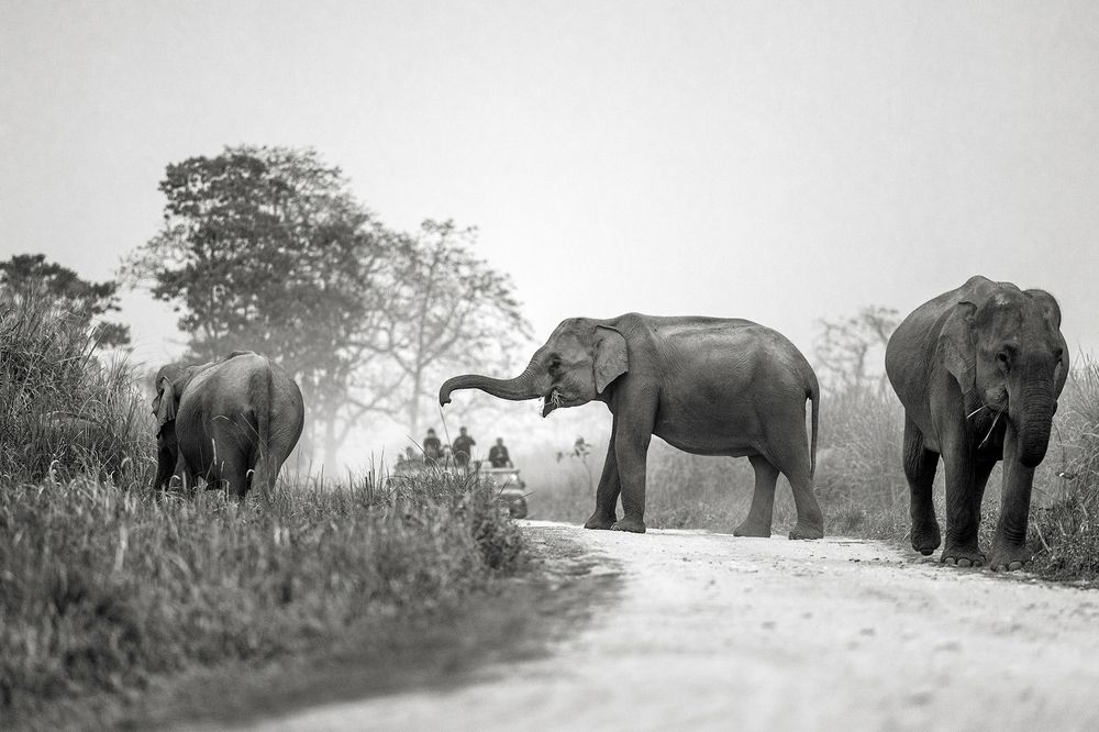 Photograph by Sumon Das