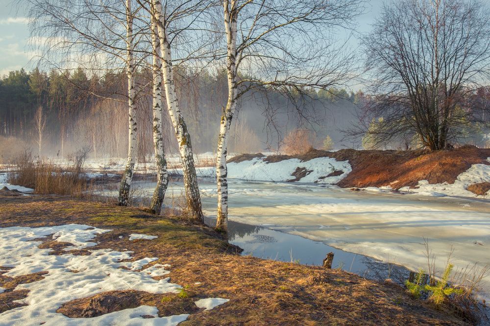 Photograph by Алексеев Дмитрий