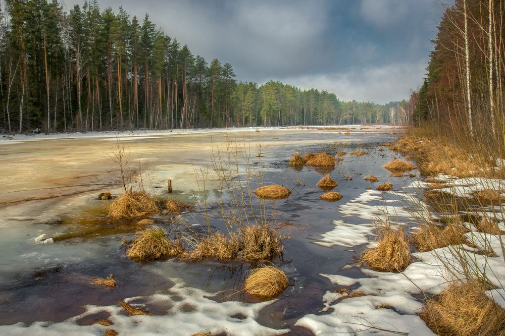 Photograph by Алексеев Дмитрий
