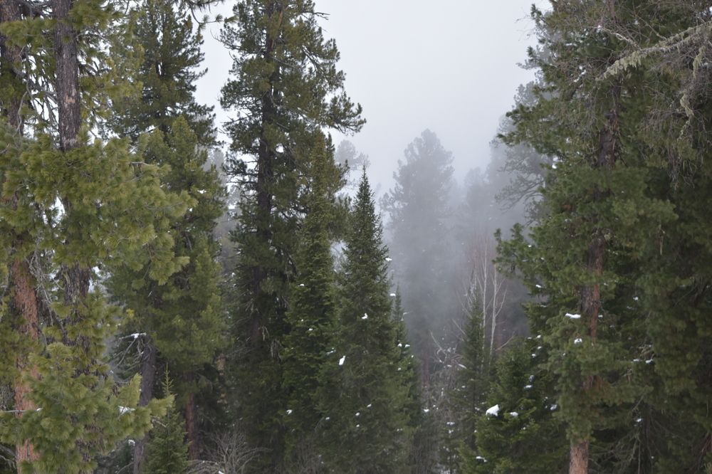 Photograph by Наталья Сорокина