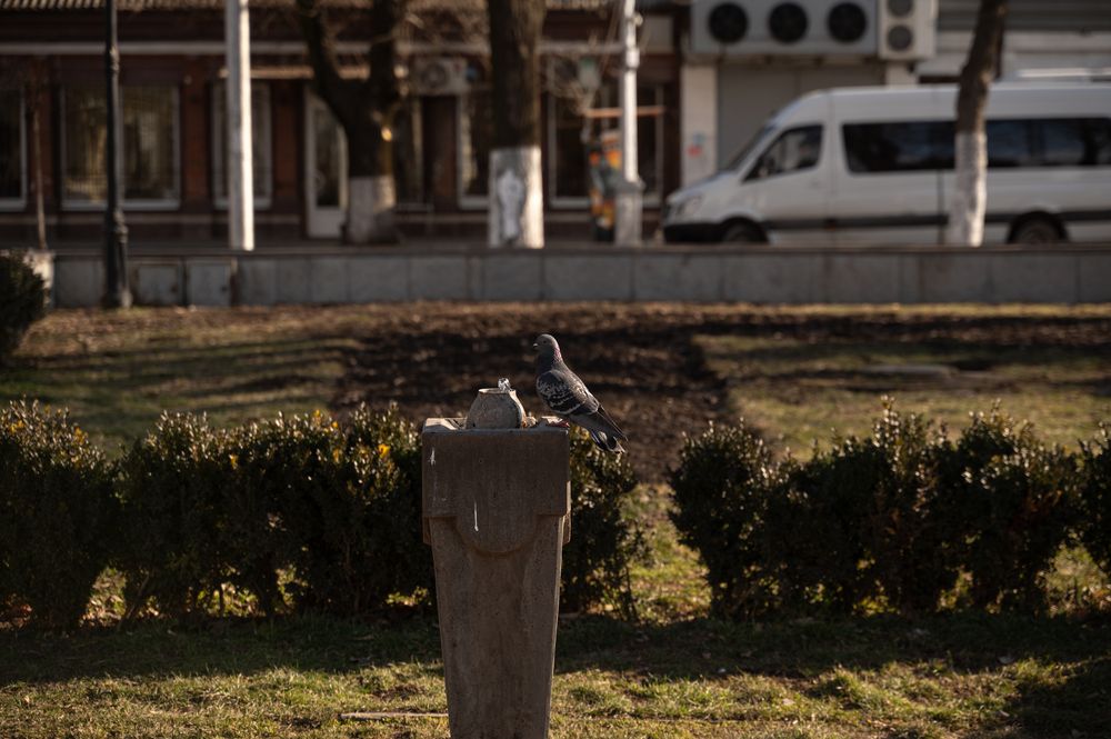 Photograph by Алексей Леднов