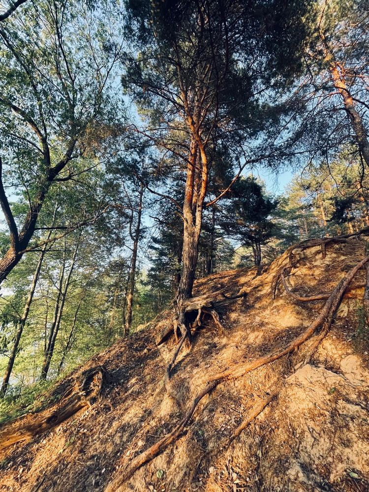 Photograph by Svetlana Rashidova