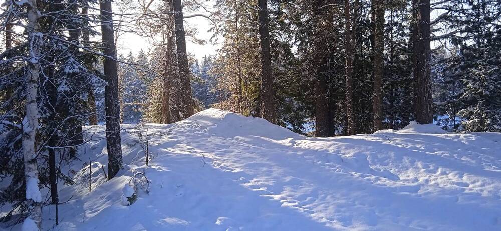 Photograph by Наталья Сорокина