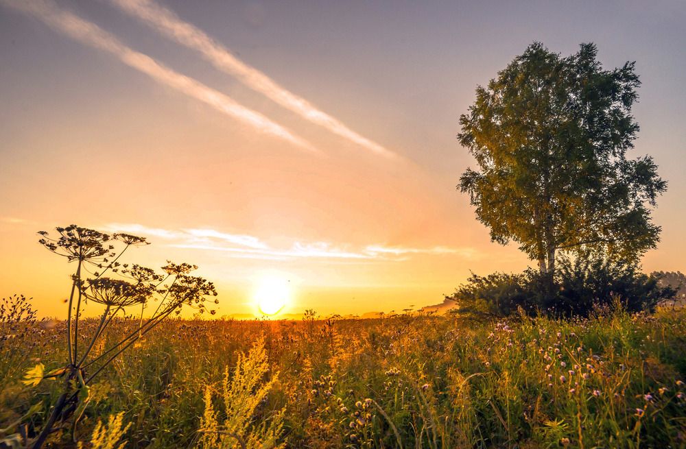 Рождение нового дня