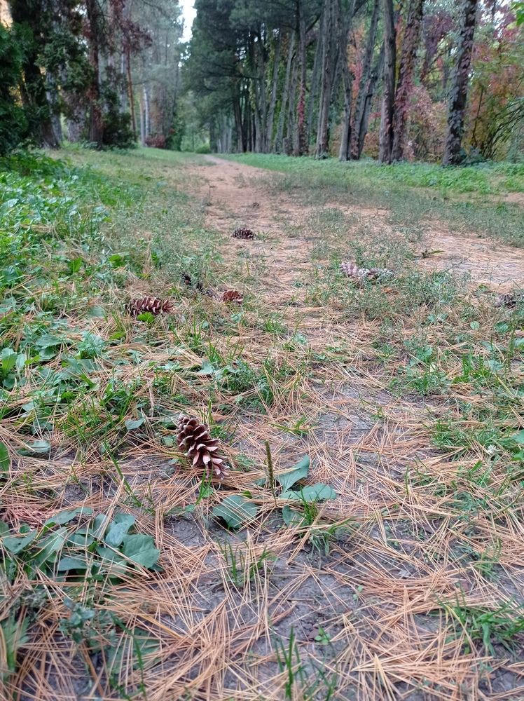 Photograph by Ирина Марченко