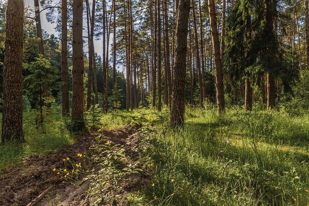 Время к вечеру