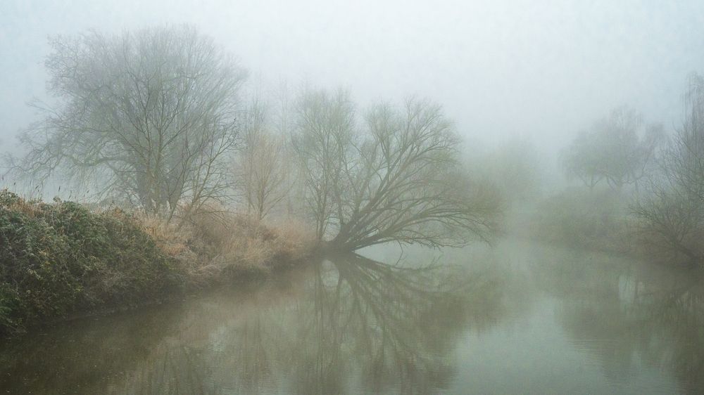 Фотография автора Ирина Назарова