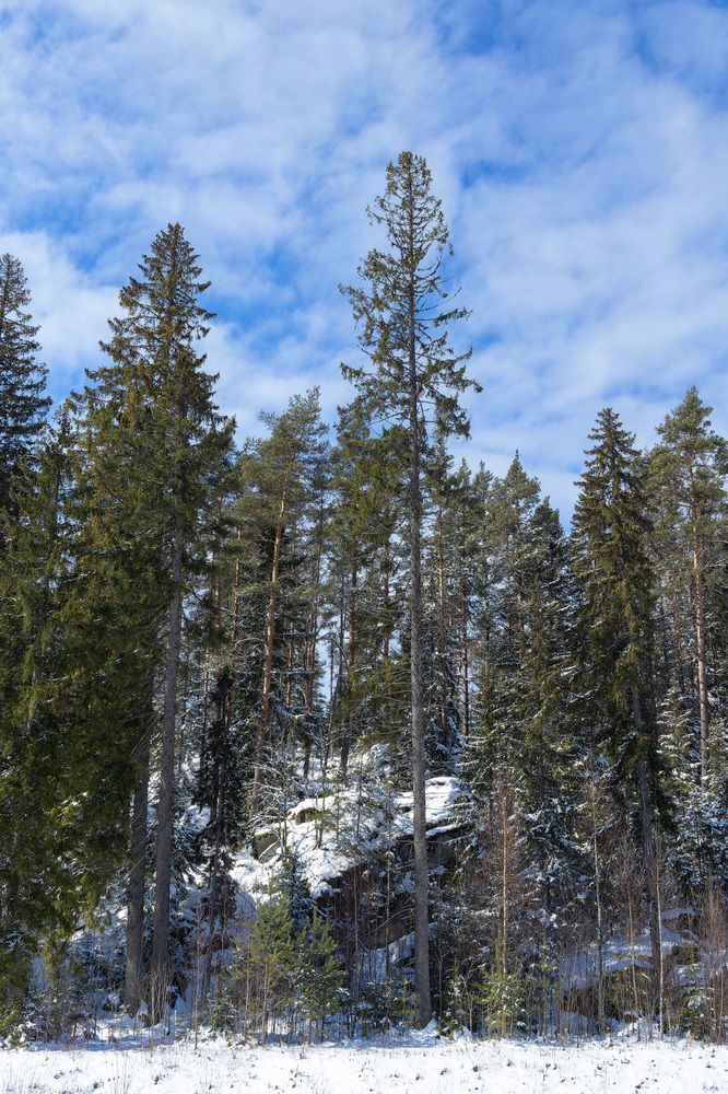 Photograph by Дмитрий Надёжный