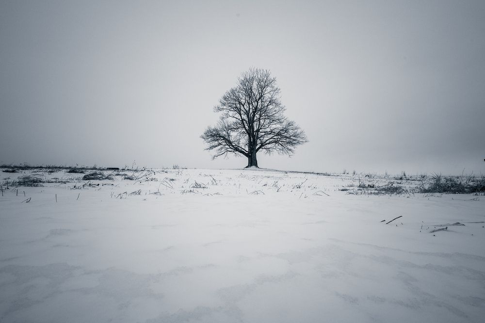 Photograph by Роман