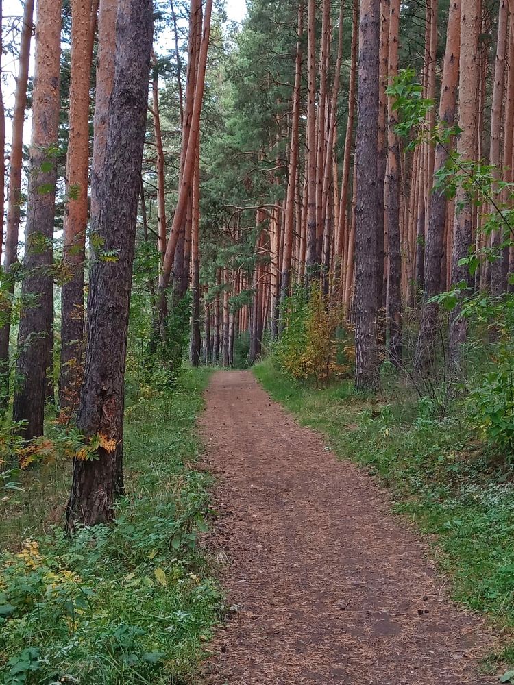 Photograph by Оксана Мельник