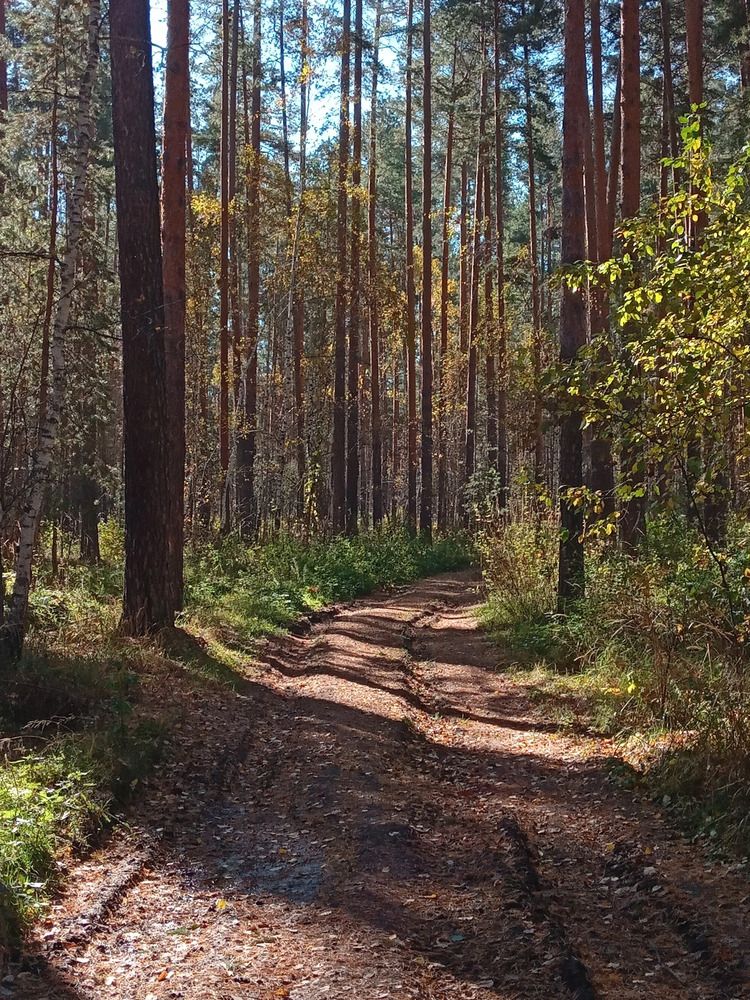 Photograph by Оксана Мельник