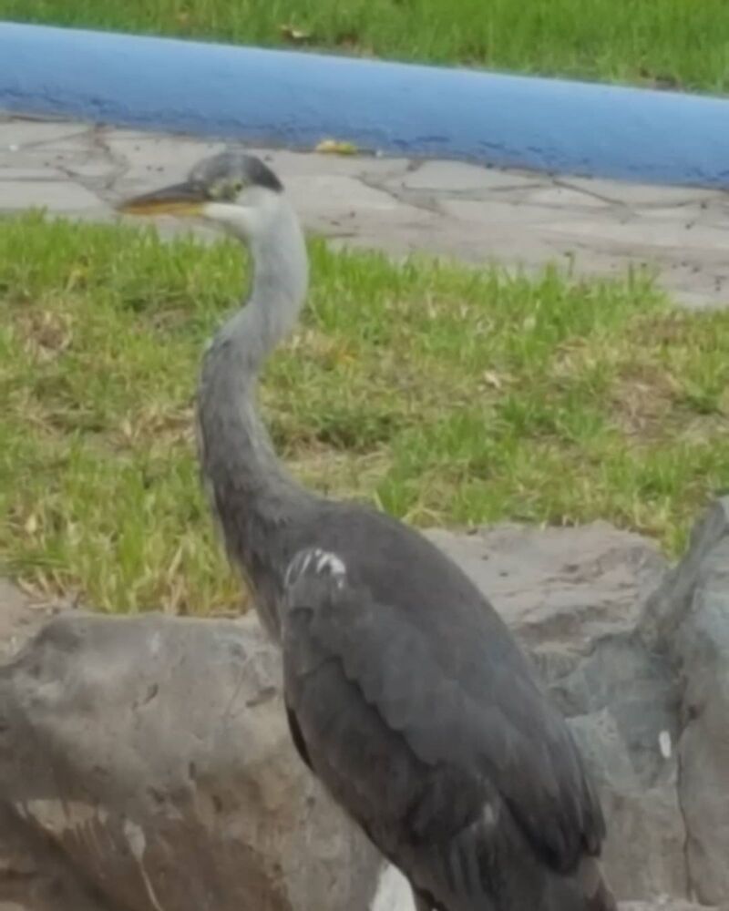 Фотография автора Nieves Gloria Alvarez Diaz