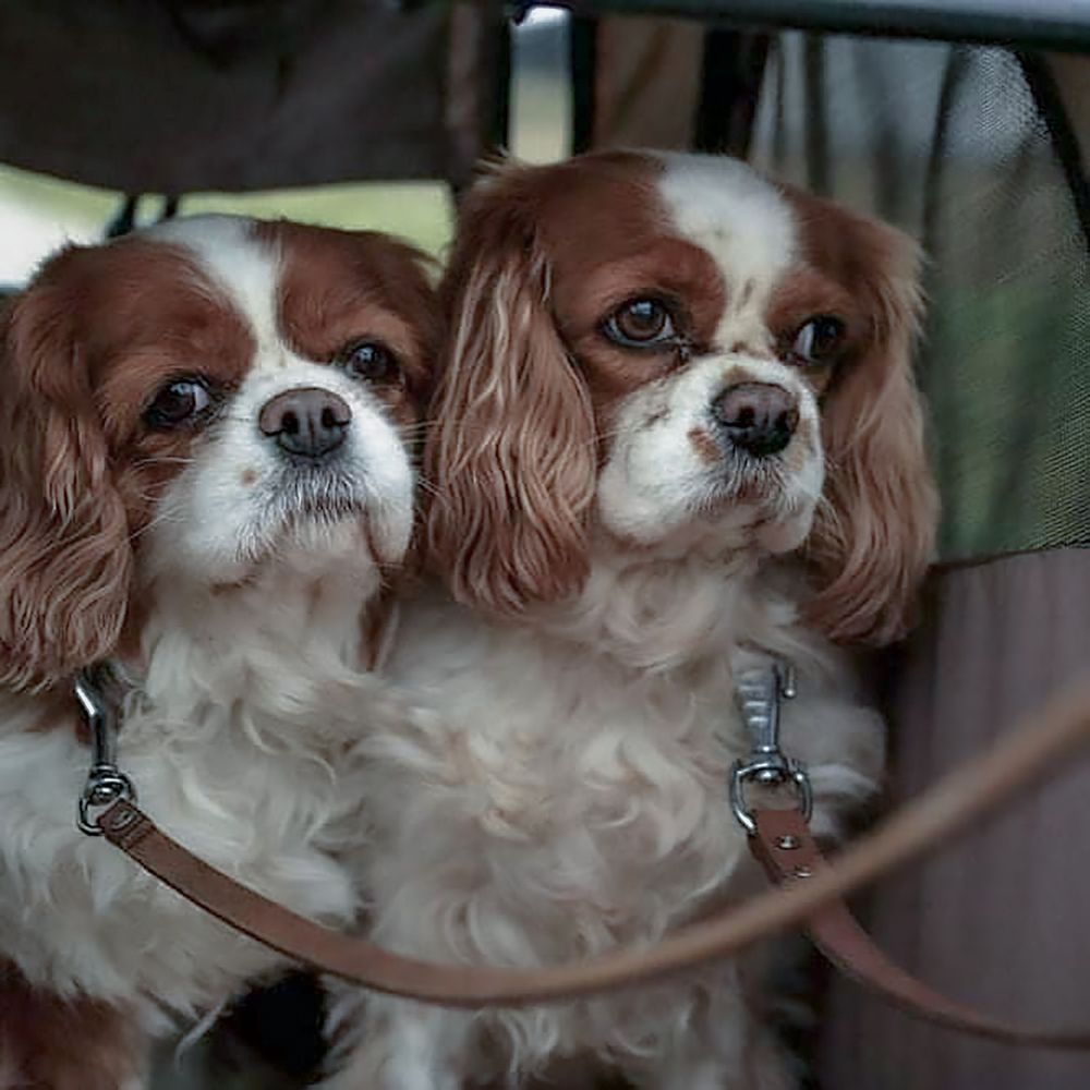 Photograph by Martine INNOCENT