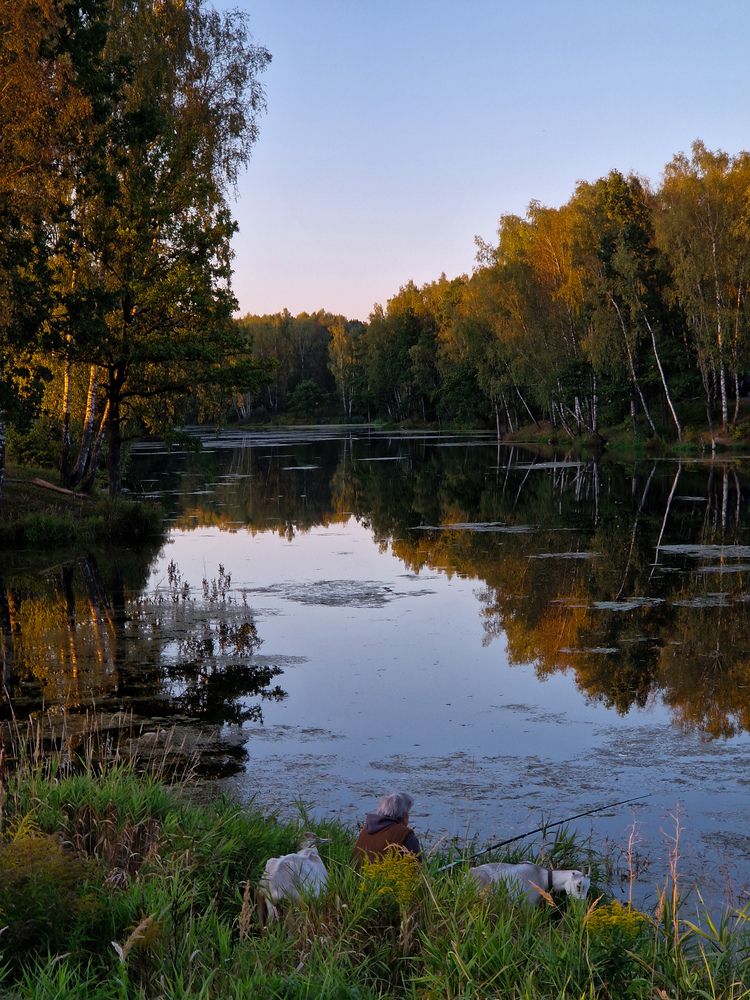 Тихий вечер