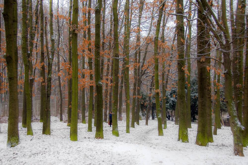 Photograph by Slavko Rošul