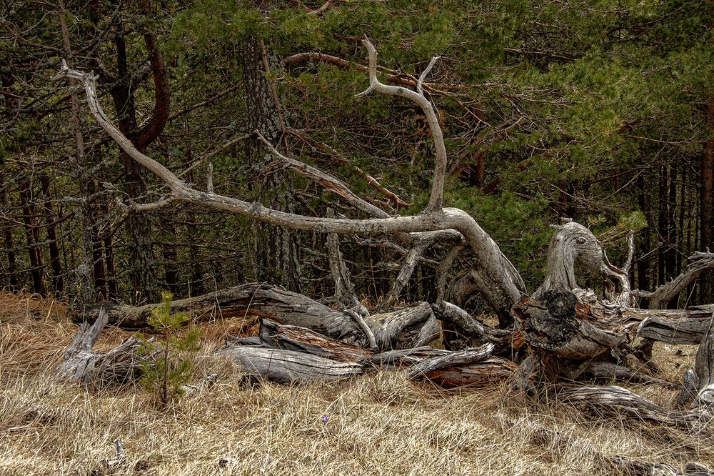 Photograph by Slavko Rošul