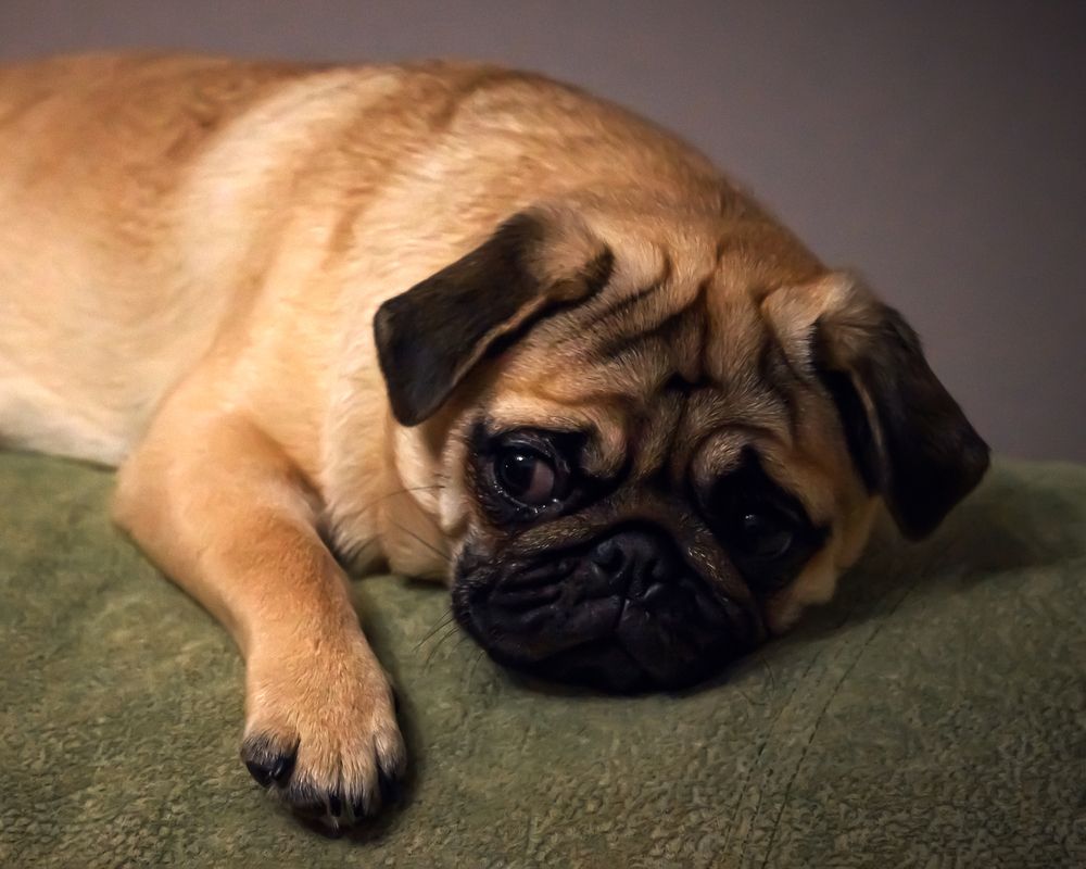 Photograph by Ната Богатова