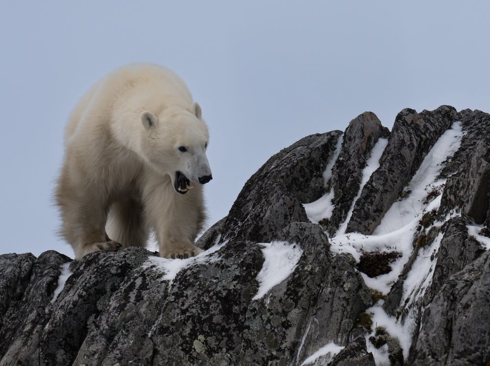 Photograph by Владимир Цветов
