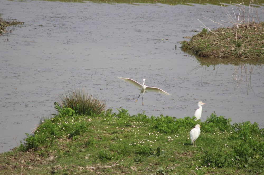 Photograph by MariaVittoria Amoruso