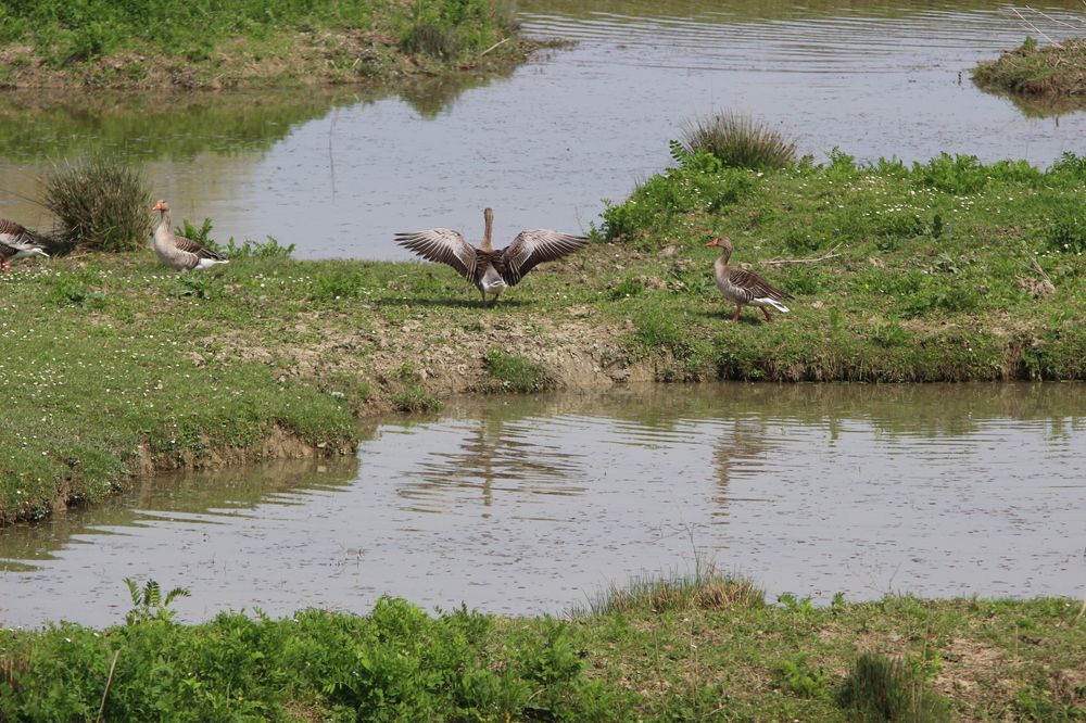 Photograph by MariaVittoria Amoruso