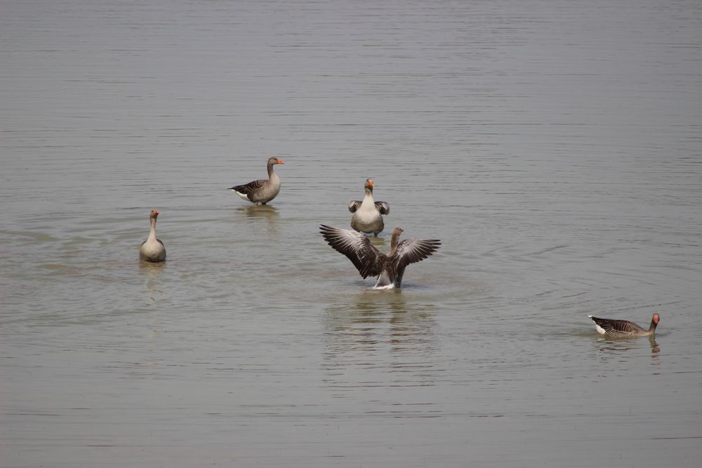 Photograph by MariaVittoria Amoruso