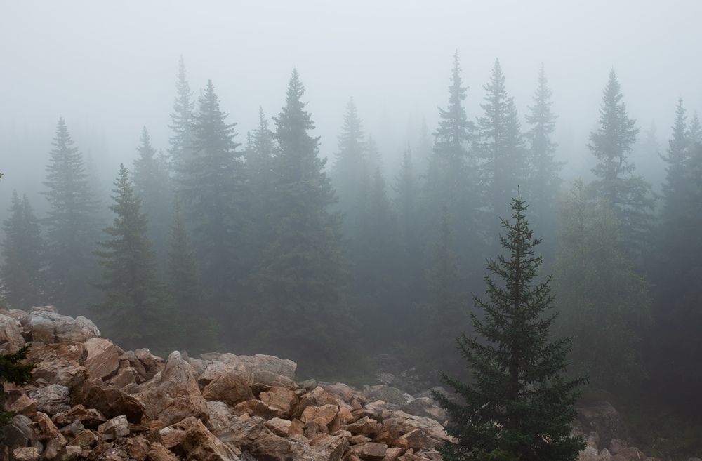 Фотография автора Станислав