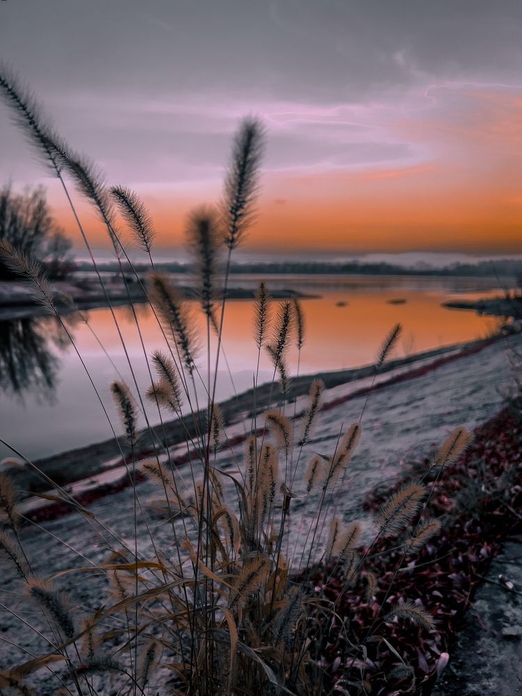 Photograph by Анна