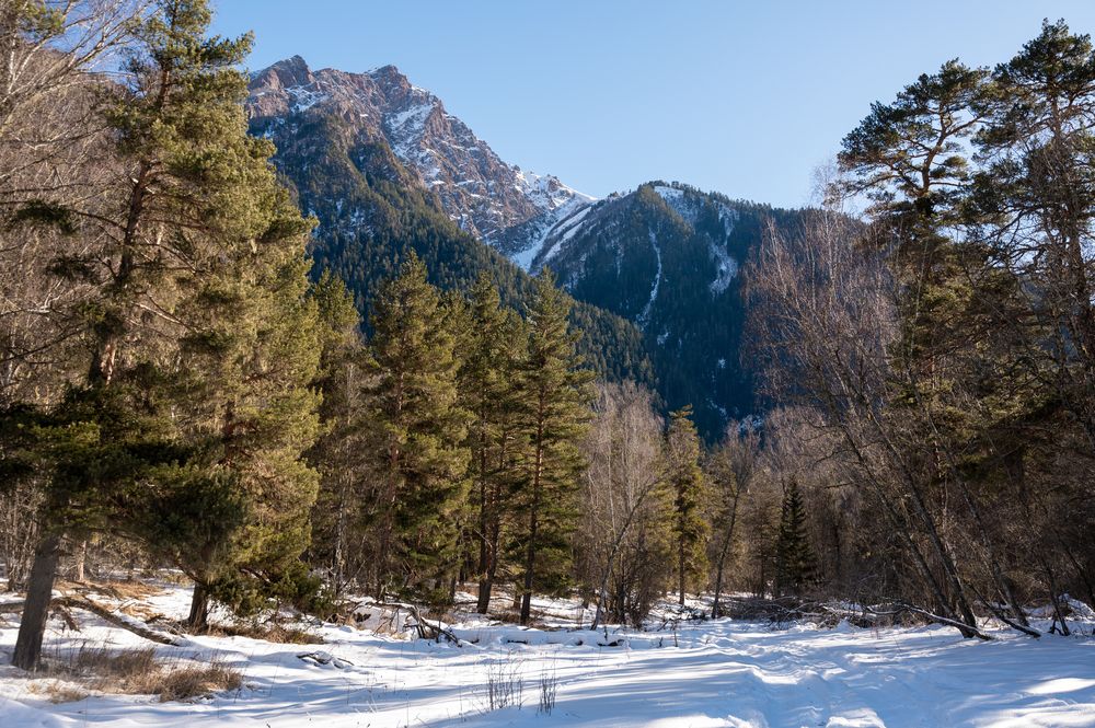 Photograph by Алексей Леднов