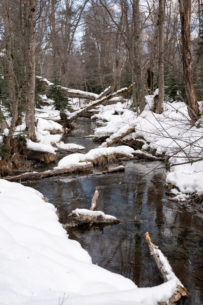 Photograph by Алексей Леднов