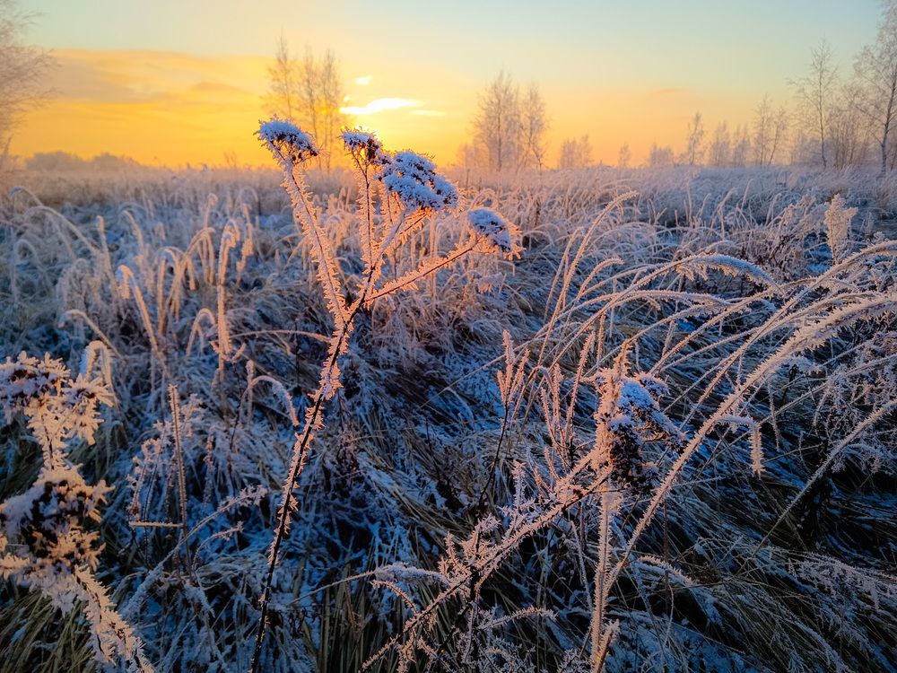 Photograph by Кондрашова Светлана