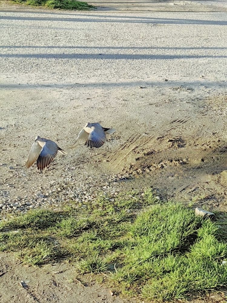 Photograph by Ирина Тихая