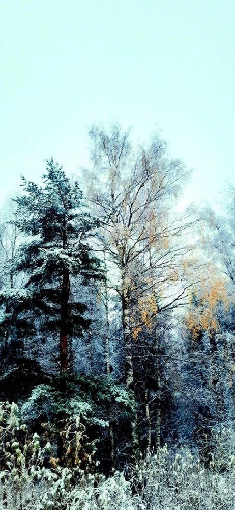 Photograph by Ирина Ильина