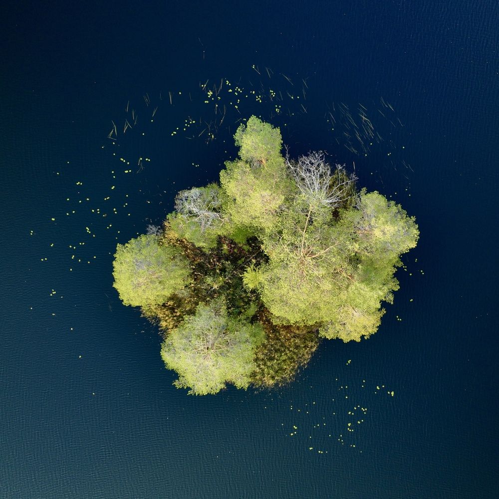 Photograph by Максим Григорьев