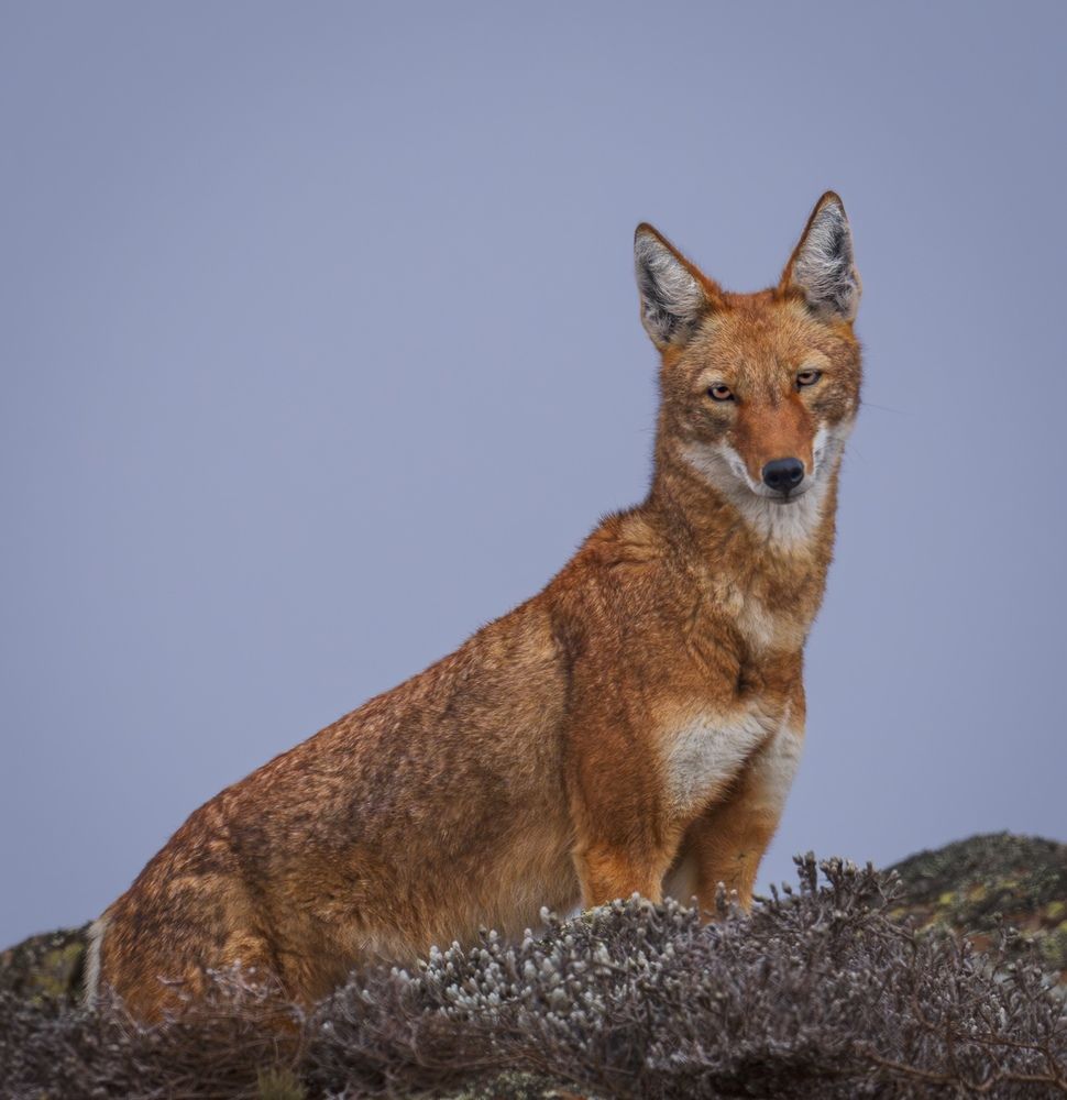 Photograph by Turgay Uzer