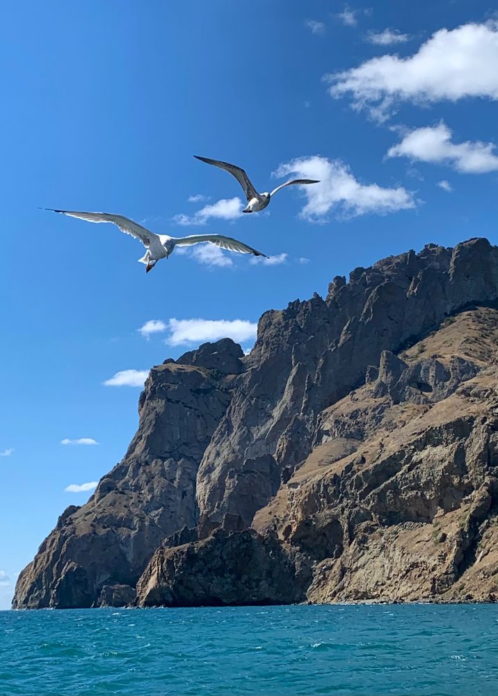 Морские прогулки.