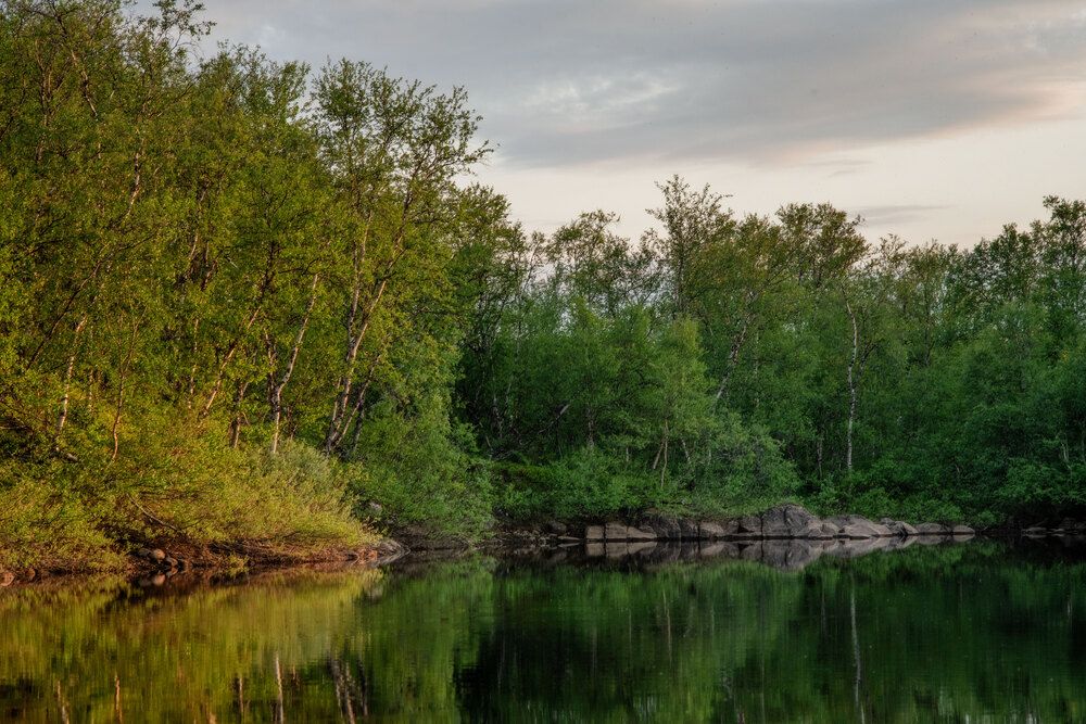 Photograph by Марина Зборацкая