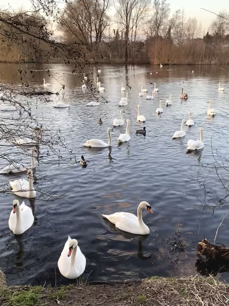 Photograph by Marina Odintsova