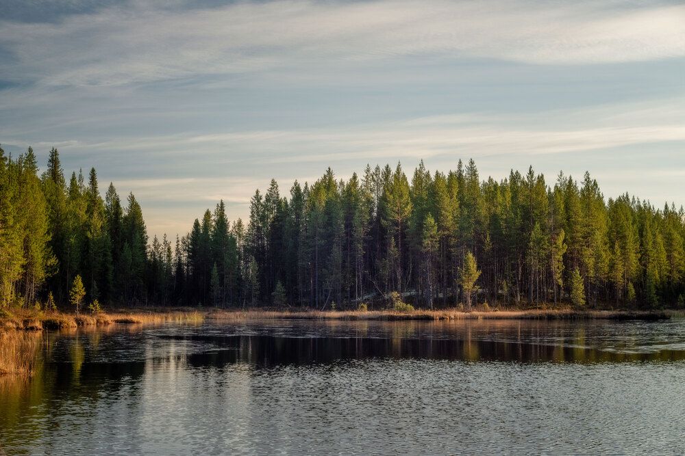 Photograph by Марина Зборацкая