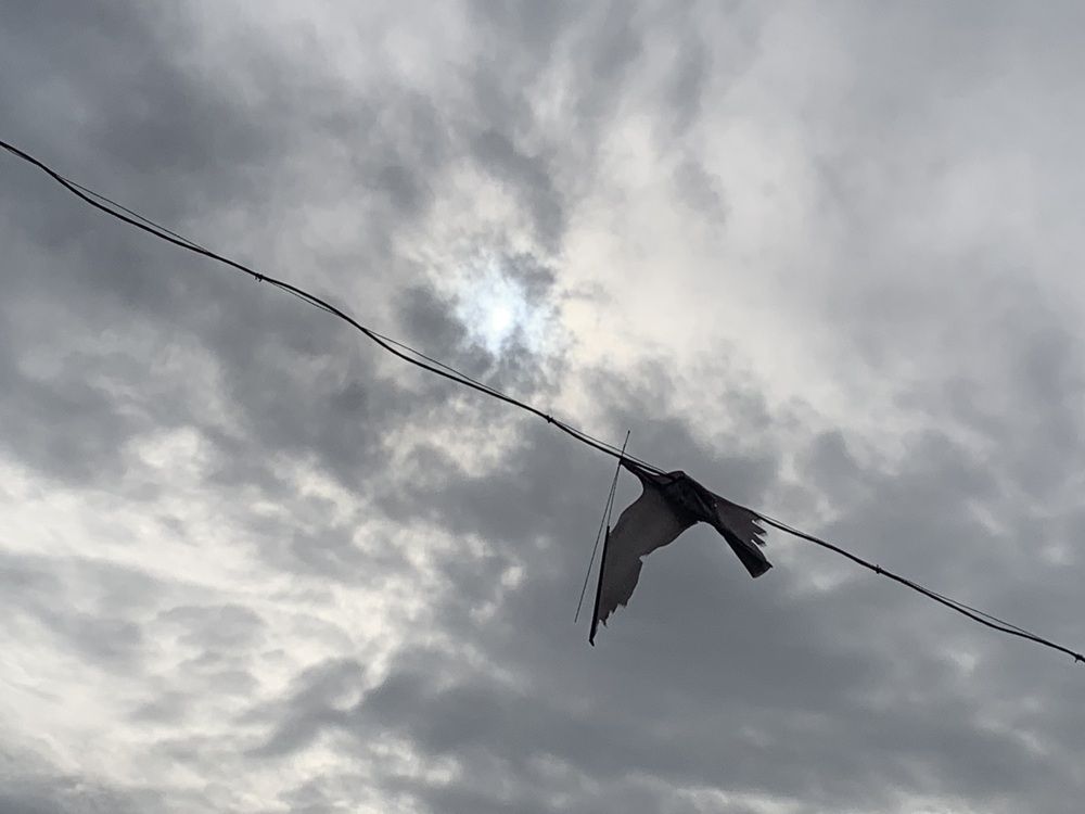 Прерванный полет