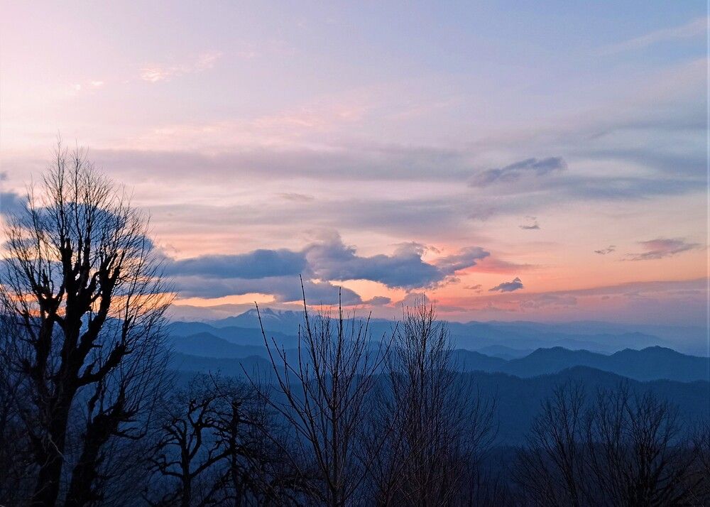 Photograph by MaryamTork